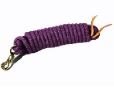 Kensington Clinician Lead Rope 25' Plum