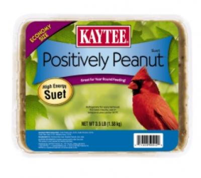 Kaytee Suet 11 oz Peanut (Wild Bird Feed)