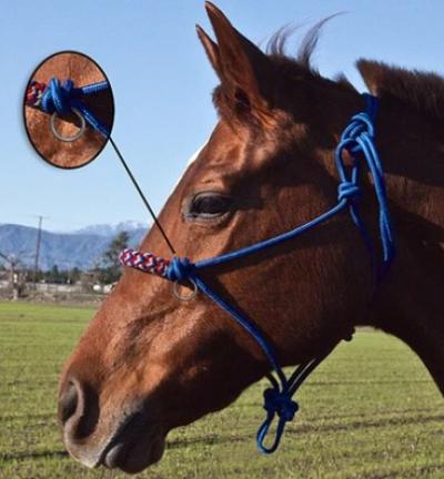 Kensington Rope Sidepull Halter Blue/Red/White/Blue