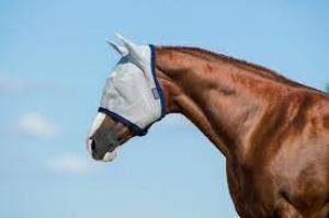 Amigo Fly Mask with Ears Cob Silver/Navy