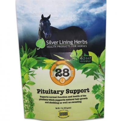 Silver Lining Pituitary Support 1 lbs #28 (Herbal Supplements)