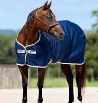 Amigo Jersey Cooler 72" Navy/Silver